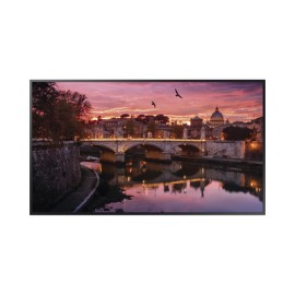 Pantalla Profesional LED de 55″, UHD (3840X