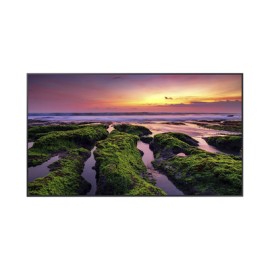 Pantalla Profesional LED de 55″, UHD 4K (38