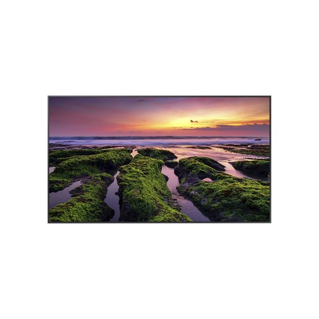 Pantalla Profesional LED de 55″, UHD 4K (38
