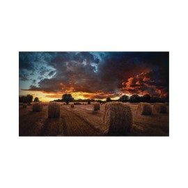 Pantalla Profesional LED de 46″ para Video