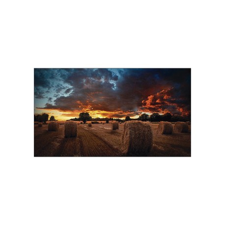 Pantalla Profesional LED de 46″ para Video