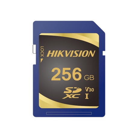 Memoria SD Clase 10 de 256 GB / Especializada Par